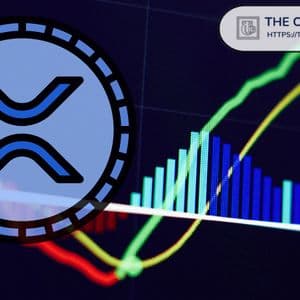 XRP Ranging After Major Liquidation: Analyst Identifes What Comes Next
