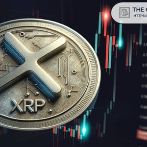 Black Swan Capitalist Explains How XRP Could Reach Extremely High Prices, Up to $10,000