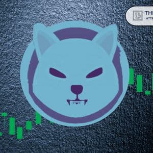 Analyst Says It’s Time for Shiba Inu to Rebound, Shares Three Targets