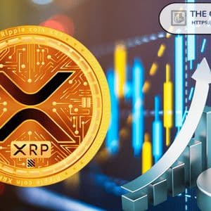Expert Says His Money Is on XRP All the Way: Here’s Why