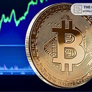 Bitcoin Holds Above $100,000 Despite 405,000 BTC October Sales: QCP Capital