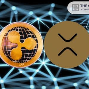 Researcher Says Real XRP Value Will Be Revealed After Ripple IPO