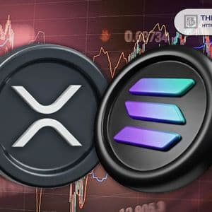 Helius CEO Says He’ll Shave his Head with a Pencil Sharpener if Solana Doesn’t Flip XRP