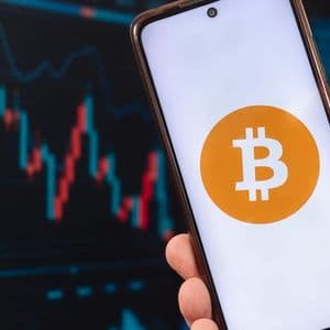 Bitcoin Thrives as Altcoins Play the Role of Beta Testers