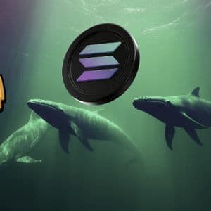 September Market Explosion Alert: Crypto Whales Abandon Solana for XYZVerse (XYZ) With 25,000% Gains Predicted!