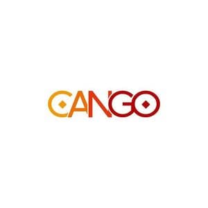 Cango Inc. Reports Second Quarter 2025 Unaudited Financial Results
