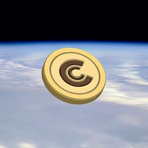 The Crypto Market Looks Promising