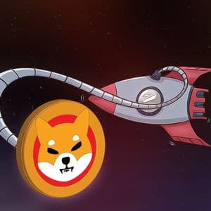 SHIB Significantly Boosts Burn Rate While Sending a Supportive Message