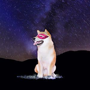 Shiba Inu Navigates Critical Price Zone