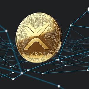 Whales Accumulate 340 Million XRP with Intriguing Market Movements