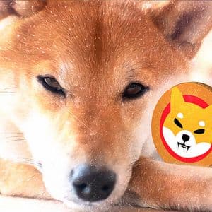 Shiba Inu Sparks Renewed Attention with Surprising Market Divergence