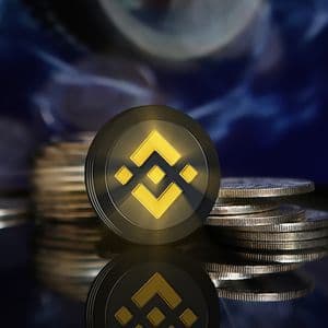 BNB Coin Sets New Milestones with Unprecedented Performance