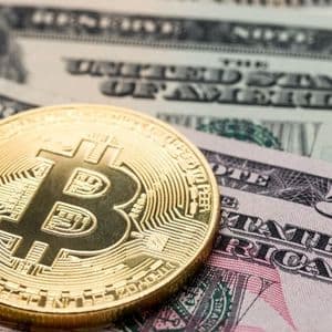 CryptoAppsy Delivers Live Insights for Cryptocurrency Enthusiasts