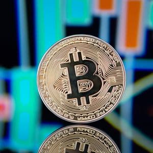 Crypto Markets Rebound After Historic $19 Billion Liquidation