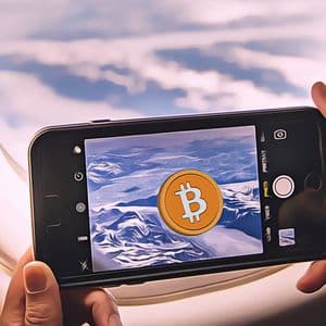 Bitcoin Faces a Potential Drop as Gold Shines