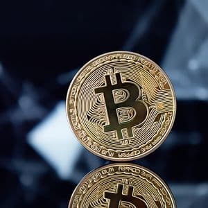 Whale Activity Stabilizes Bitcoin’s Recent Volatility