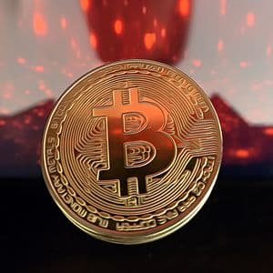 Bitcoin Defies Expectations with a Remarkable November Comeback