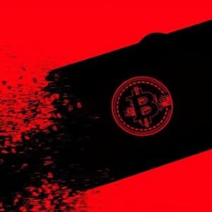 Fold to Launch Bitcoin Credit Card with Visa and Stripe