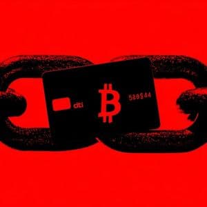 Citi Backs Stablecoin Infrastructure Firm BVNK Amid Growing Blockchain Adoption