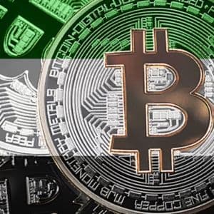 It’s Discovered How Many Bitcoins (BTC) the United Arab Emirates (UAE) Has – Revealed for the First Time