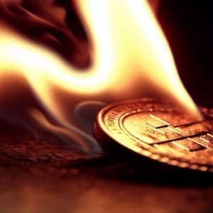 BREAKING: Millions of Dollars Worth of Tokens Are About to Be Burned in This Altcoin, Only One Signature Remains