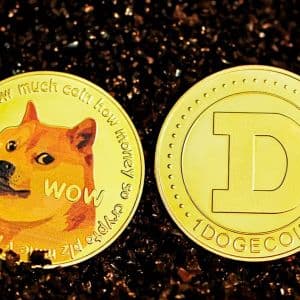 The First Official Step for Dogecoin (DOGE) for $175 Million Has Been Taken! "There's an Elon Musk Detail Too!"