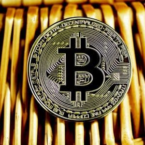 South African-Based Company Aims to Acquire Bitcoin and Create a Crypto Treasury Reserve! Here Are the Details