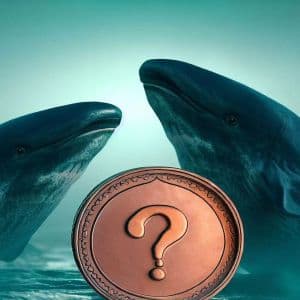 Latest Data Revealed: One Whale Opened Long Bitcoin and Two Altcoins, Another Whale Started Profit Selling! Here Are the Altcoins They Traded!