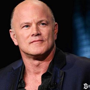 Billionaire Mike Novogratz’s Surprising Announcement: “We’ve Entered the Solana Season”