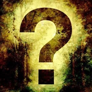 The CEO of the Most Popular Altcoin of Recent Times Responds to Major Criticism and Doubts!