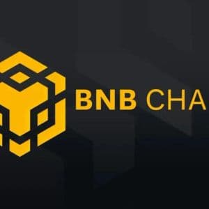 The Long-awaited Major Update for BNB Has Arrived! Here's What's Changed