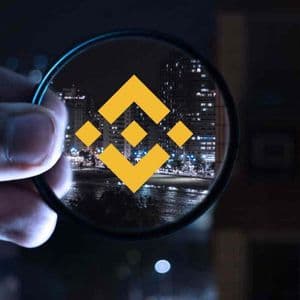 Binance Coin (BNB) Hits New Record Following Bitcoin! Analyst Reveals Next Target!