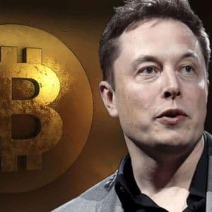 Tesla CEO Elon Musk Shares New Post About Bitcoin (BTC)