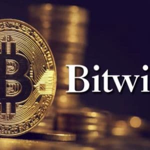 Bitwise Assessed Friday's Crash! "Bitcoin and Cryptocurrencies Prove Themselves!"