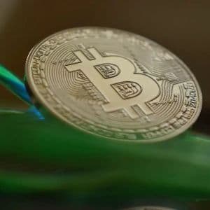 Experienced Analyst Ed Yardeni: “This Is the New Bitcoin Now”