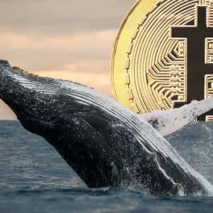 Could Bitcoin Experience an 80% Drop Like the Old Bear Markets? Chinese Analyst Explains by Looking at Whales