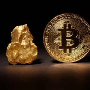 CLAIM: Is the Bitcoin Price Following the Gold Chart 188 Days Behind? So, When It Catches Up to Gold, How Much Will the BTC Price Be?