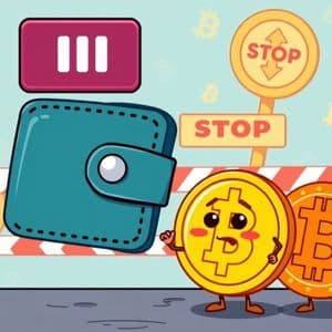 Crucial Upbit Deposit Withdrawal Update: BABY and BCH Temporarily Halted