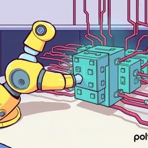 Polygon Block Finality: Crucial Patch Swiftly Resolves Network Delays