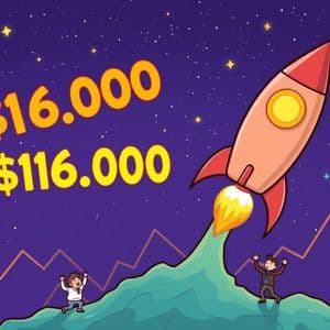 Remarkable Bitcoin Price Surge: BTC Breaches $116,000 Milestone