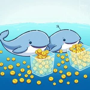 MERL Accumulation: Massive Surge as Two Whales Amass 98.24 Million Tokens