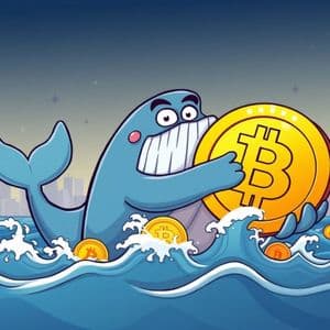 Bitcoin Whale’s Massive $100M Accumulation Sparks Market Optimism