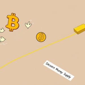 Remarkable Bitcoin Decoupling: What It Means for Global Markets