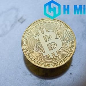 By the end of 2025, everyone should know the best way to increase wealth.