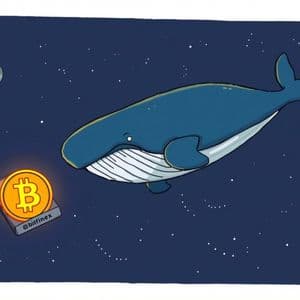 Massive Bitcoin Transfer: Unveiling the Crucial Mystery of 6,000 BTC from Bitfinex
