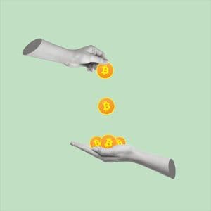 When Memes Meet Missions: Can Crypto Be Trusted To Fund Nonprofits?