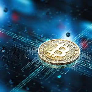 Bitcoin Is Digital Exit Gold: The Four-Year Doubling Cycle