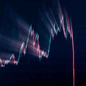 Crypto’s Black Friday: Inside The $19B Market Meltdown