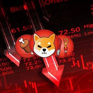 Exploring the Loss of Favor: Shiba Inu's Potential Decline Versus Remittix's Rise with Tangible Utility