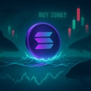 $213M in Solana Traded in Minutes — Whale Shakeout or Perfect Buy Zone?